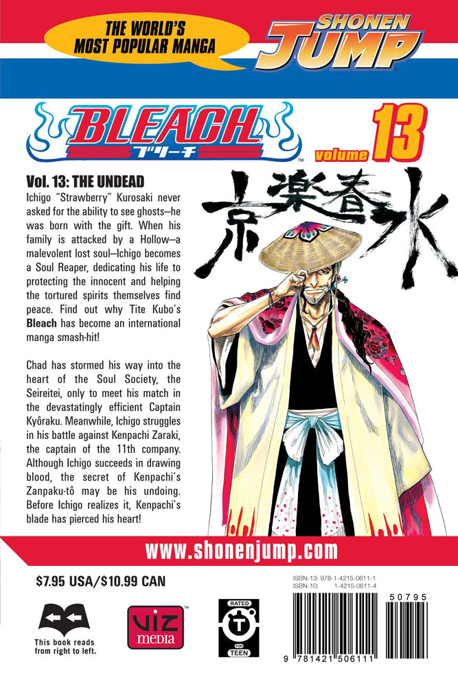 BLEACH Manga Volume 13