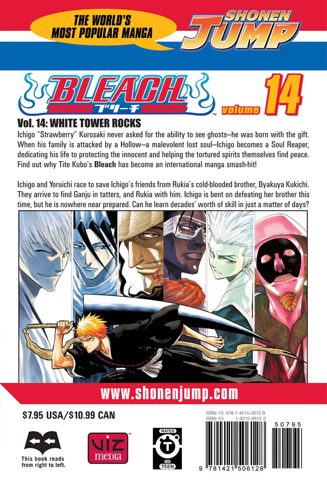 BLEACH Manga Volume 14