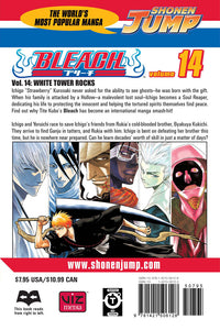 BLEACH Manga Volume 14