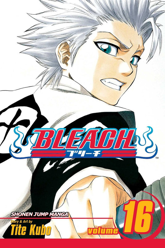 BLEACH Manga Volume 16