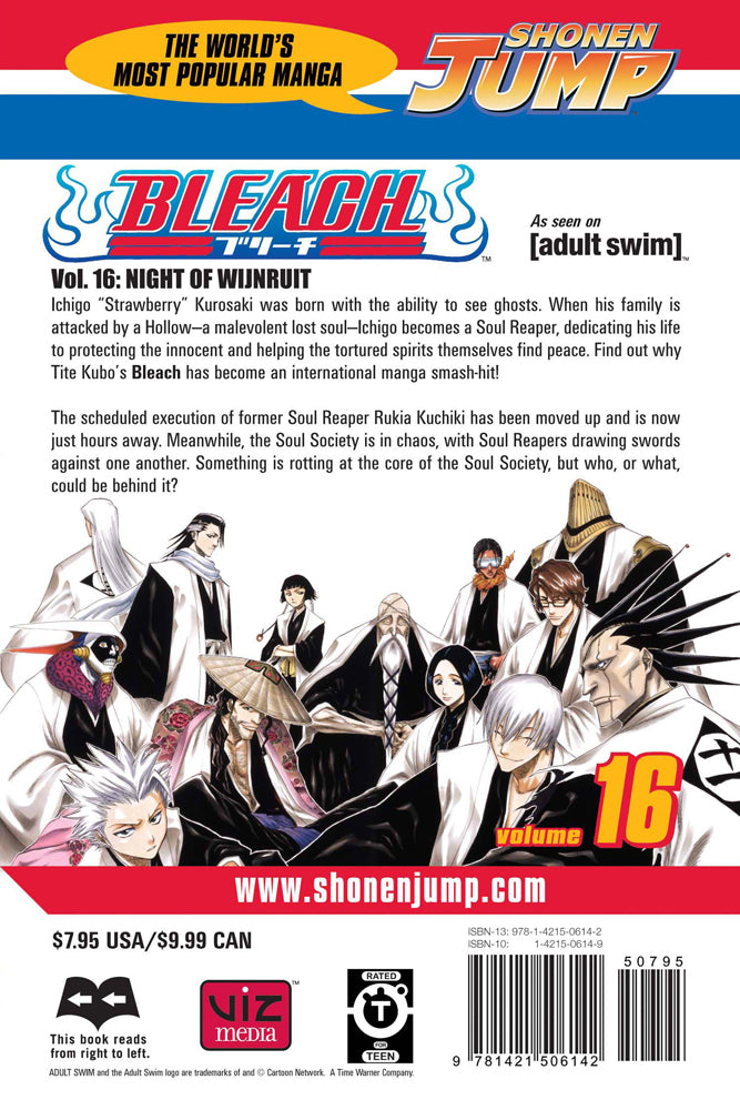 BLEACH Manga Volume 16