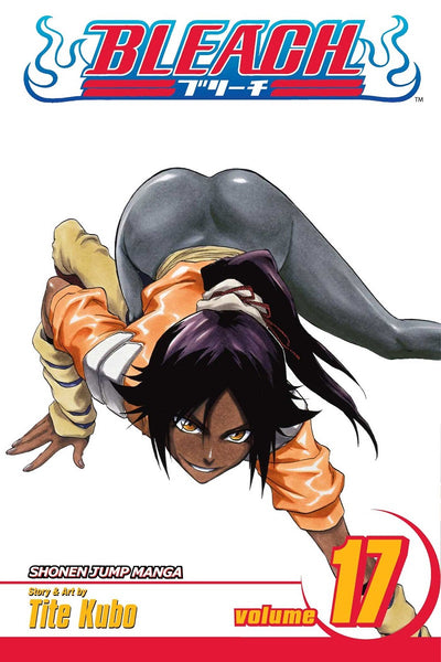 BLEACH Manga Volume 17