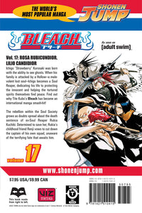 BLEACH Manga Volume 17
