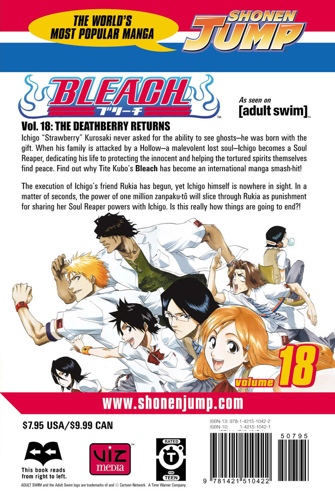 BLEACH Manga Volume 18