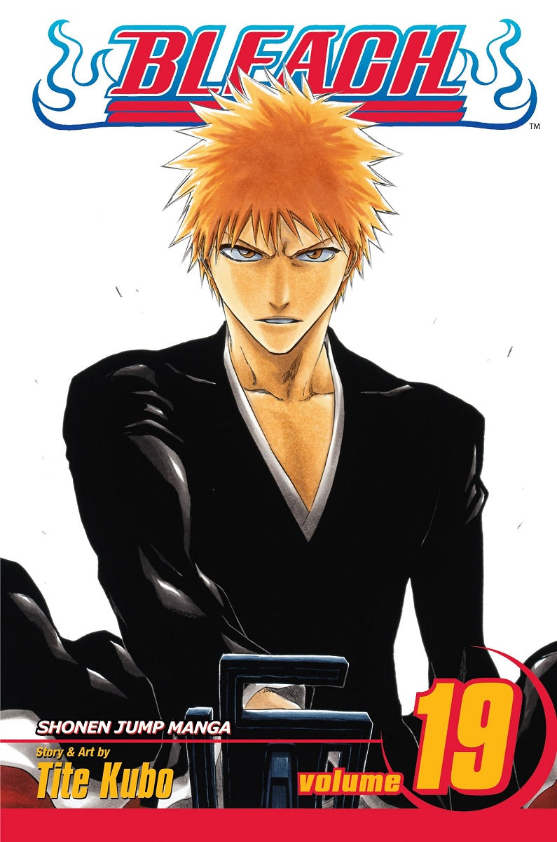 BLEACH Manga Volume 19