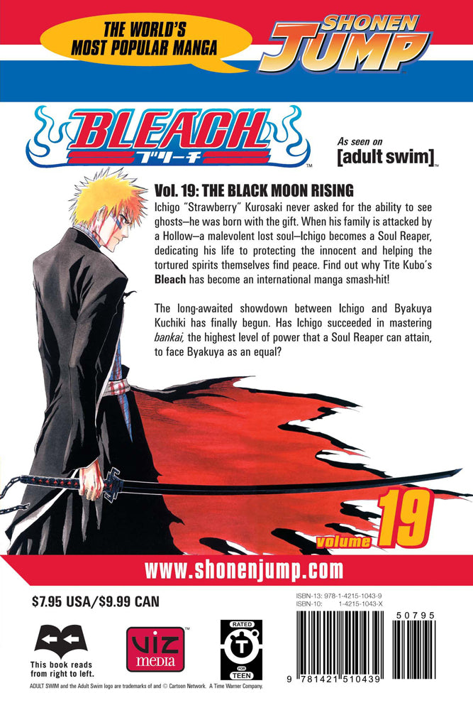 BLEACH Manga Volume 19