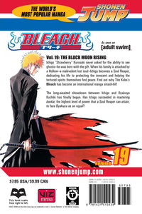 BLEACH Manga Volume 19