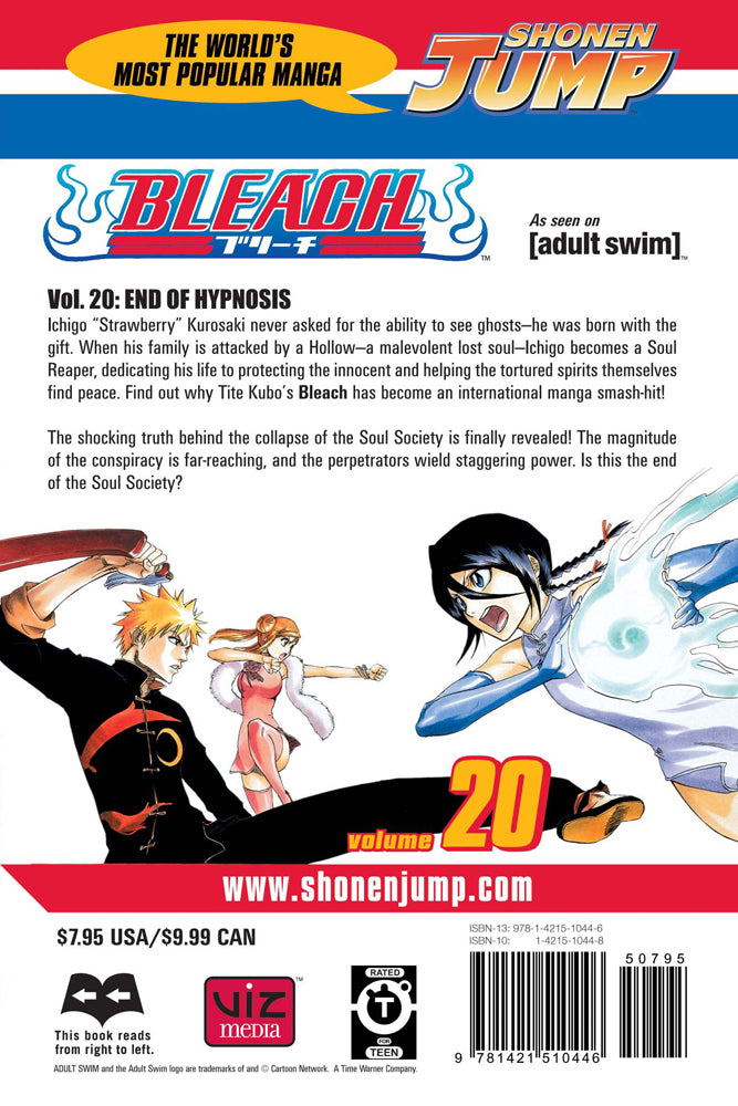 BLEACH Manga Volume 20