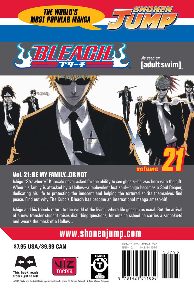 BLEACH Manga Volume 21