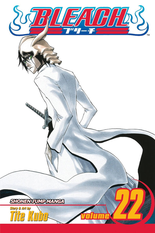 BLEACH Manga Volume 22