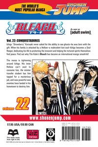BLEACH Manga Volume 22