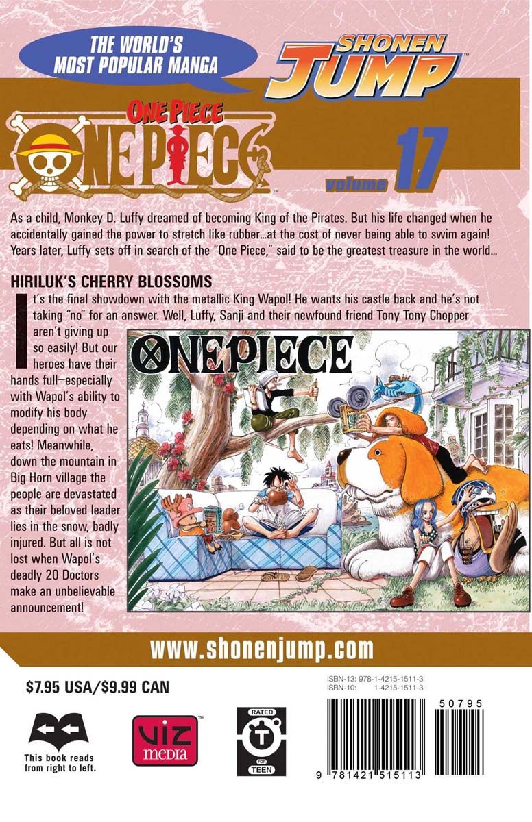 One Piece Manga Volume 17