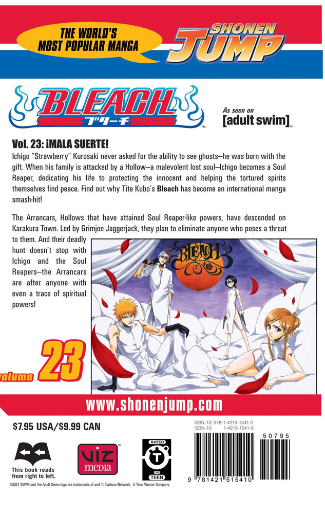 BLEACH Manga Volume 23