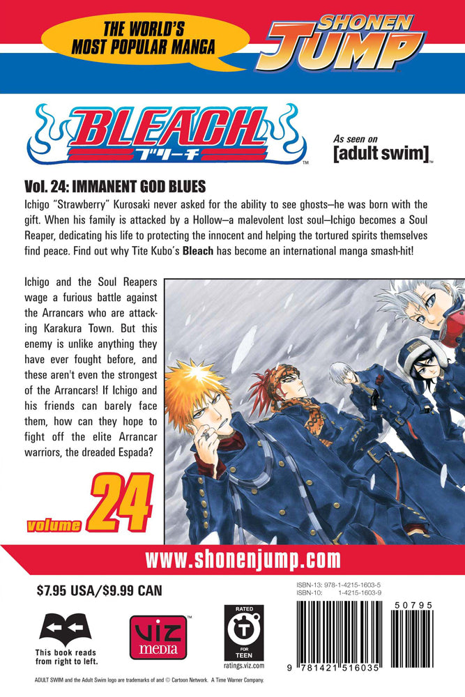 BLEACH Manga Volume 24