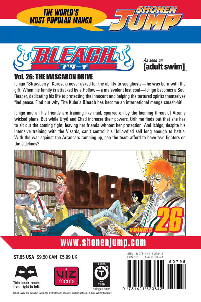 BLEACH Manga Volume 26