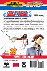 BLEACH Manga Volume 28