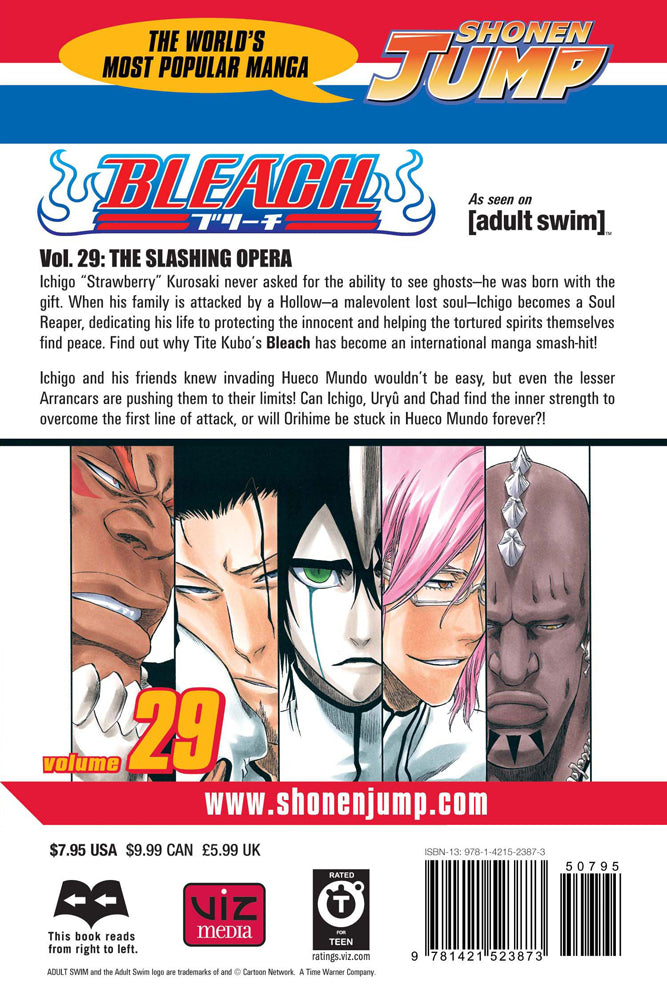 BLEACH Manga Volume 29