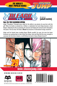BLEACH Manga Volume 29