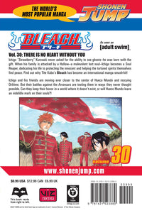 BLEACH Manga Volume 30