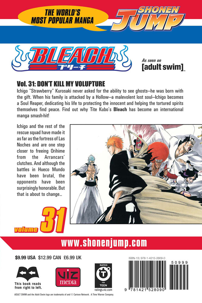 BLEACH Manga Volume 31