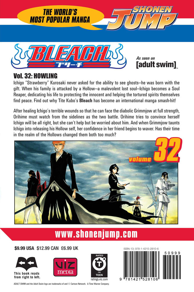 BLEACH Manga Volume 32