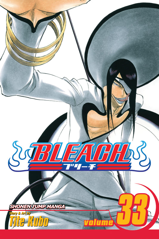 BLEACH Manga Volume 33