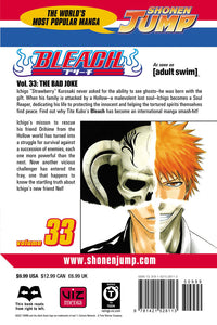 BLEACH Manga Volume 33