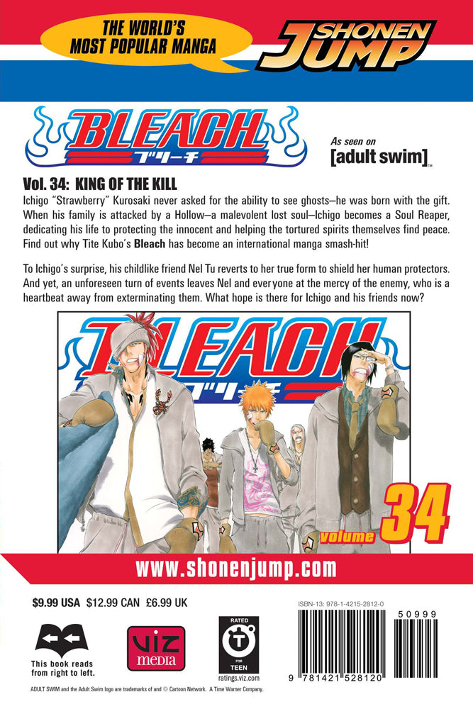 BLEACH Manga Volume 34