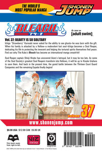 BLEACH Manga Volume 37