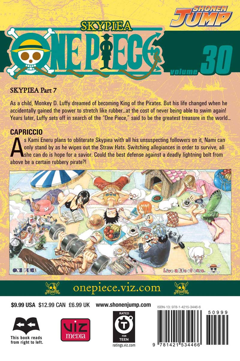 One Piece Manga Volume 30