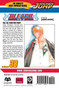 BLEACH Manga Volume 38