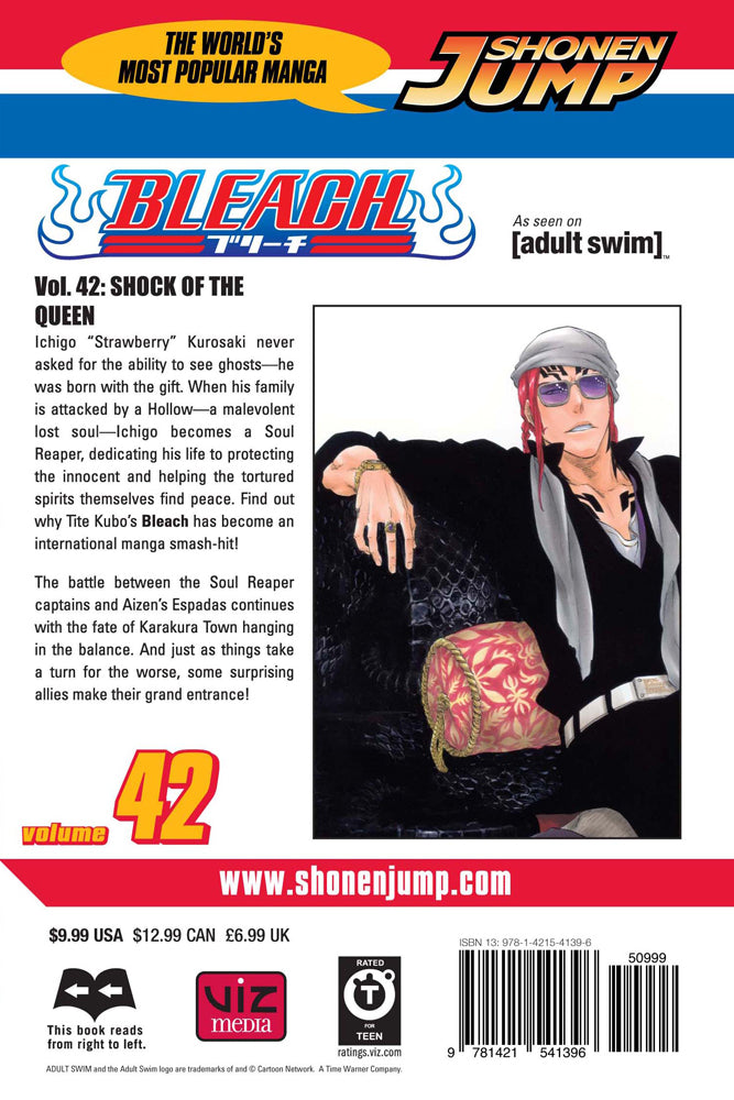 BLEACH Manga Volume 42