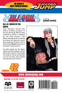 BLEACH Manga Volume 42