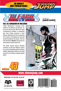 BLEACH Manga Volume 43