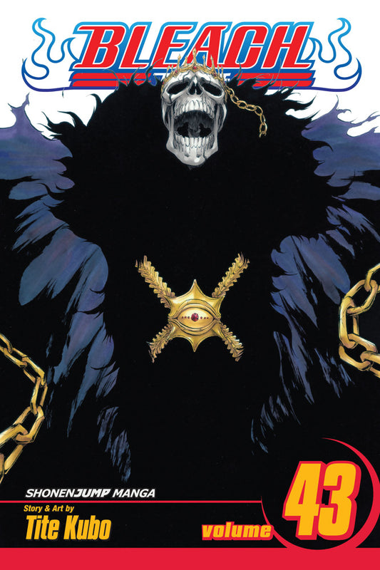 BLEACH Manga Volume 43