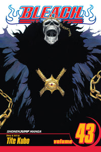 BLEACH Manga Volume 43
