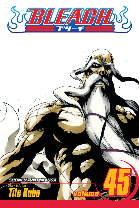 BLEACH Manga Volume 45