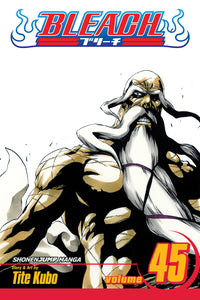 BLEACH Manga Volume 45