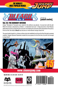 BLEACH Manga Volume 45