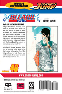 BLEACH Manga Volume 46