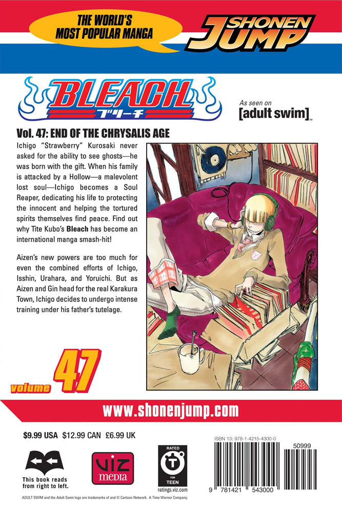 BLEACH Manga Volume 47