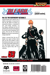 BLEACH Manga Volume 53