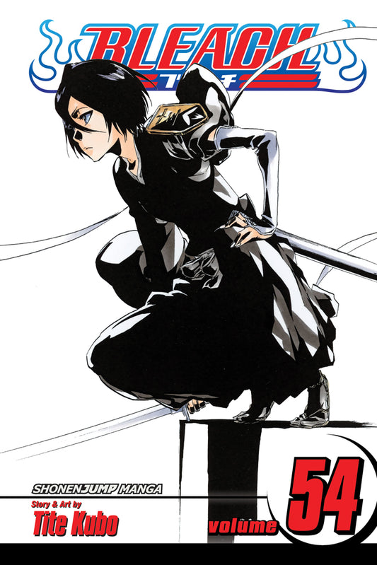 BLEACH Manga Volume 54