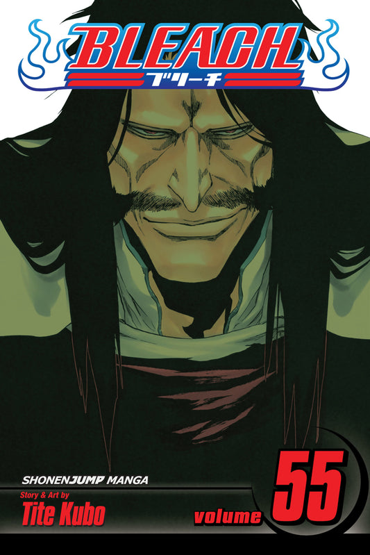 BLEACH Manga Volume 55