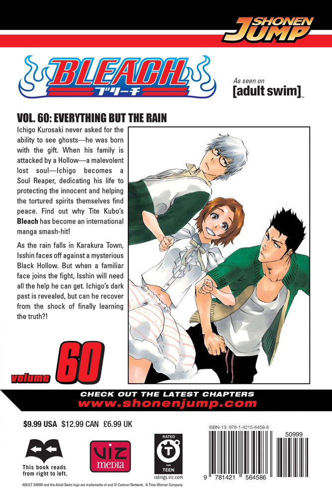 BLEACH Manga Volume 60
