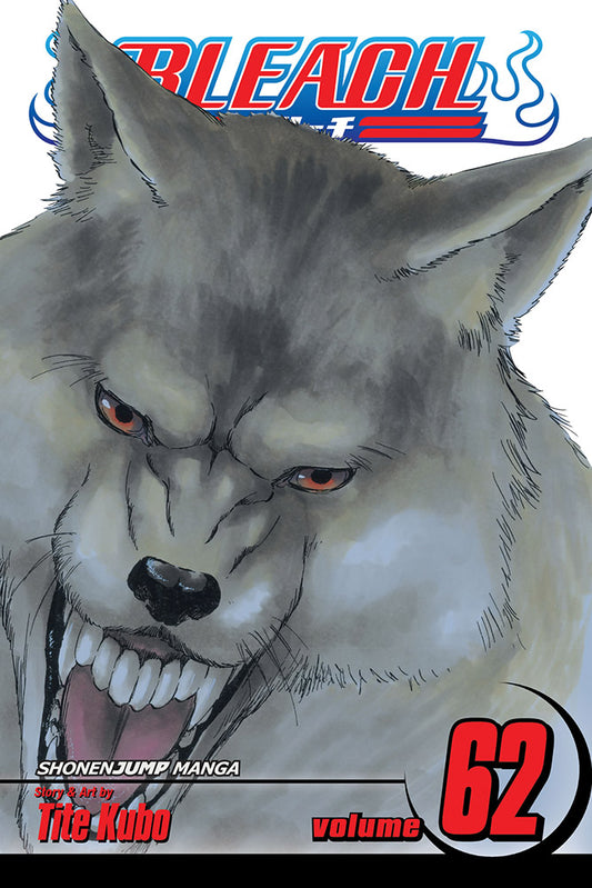 BLEACH Manga Volume 62