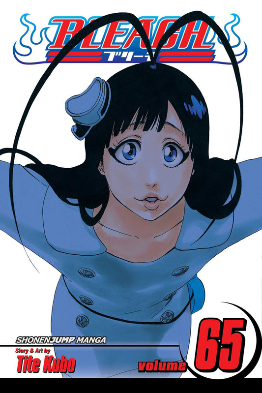 BLEACH Manga Volume 66