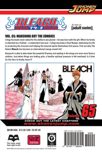BLEACH Manga Volume 66