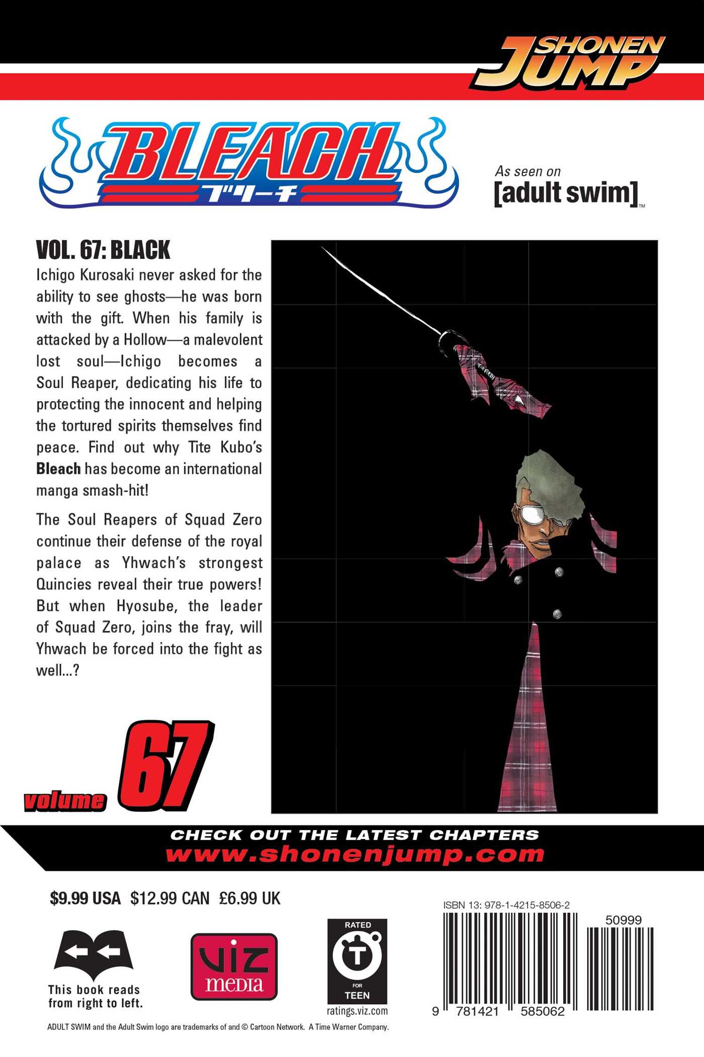 BLEACH Manga Volume 67