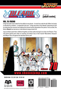 BLEACH Manga Volume 70